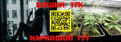 СК Донской